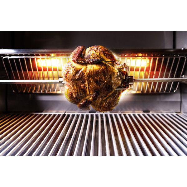 SABERGrills Spit Rod Rotisserie Wayfair
